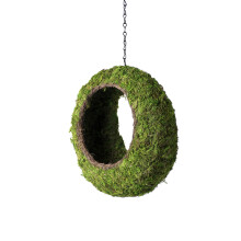 SuperMoss (56904) Sunrise Vogelvoeder Hangen Buiten Decoratie Handgeweven Wicker en Groen Mos 12" x 5"