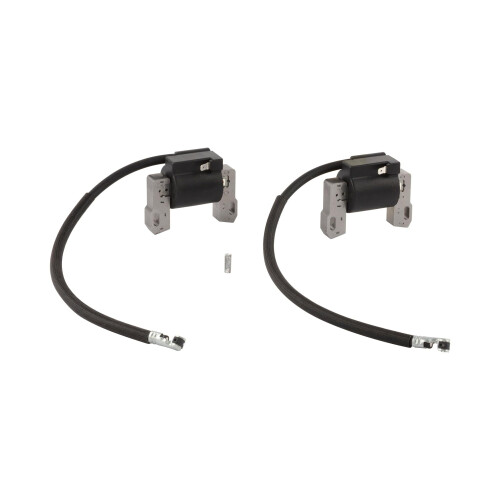 Briggs & Stratton 843860 Magneto Armatuur Kit