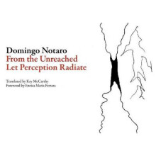 From the Unreached Let Perception Radiate by Domingo Notaro Paperback