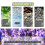 (3pcs) Best Ear Drops for Tinnitus Relief 25-26 4