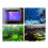 Aquarium Clean Light Fish Tank Light Aquarium Algae Clean Light Waterproof Clean Lamp 5W US Plug 4