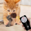 Jouet interactif pour chat télécommandé, oiseau volant aux ailes battantes 4