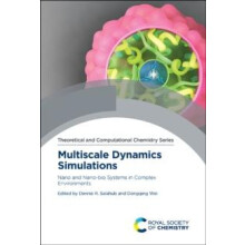 Multiscale Dynamics Simulations Nano and Nanobio Systems in Complex En
