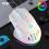 Wireless Gaming Mouse - RGB Lighting, Rechargeable, Lightweight Design with Macro Programming 1