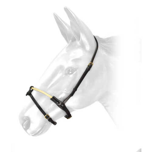 (Cob, Black) Whitaker RNB Leather Horse Noseband