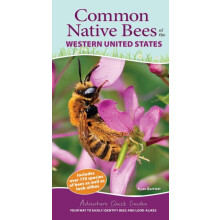 Common Native Bees of the Western United States Your Way to Easily Ide