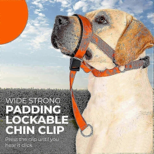 (Orange, L) Dog Head Halter Stops Pulling on Leash Adjustable Fit with Comfort Padding for Dog Training 1