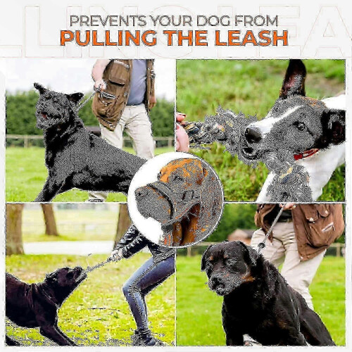 (Orange, L) Dog Head Halter Stops Pulling on Leash Adjustable Fit with Comfort Padding for Dog Training 2