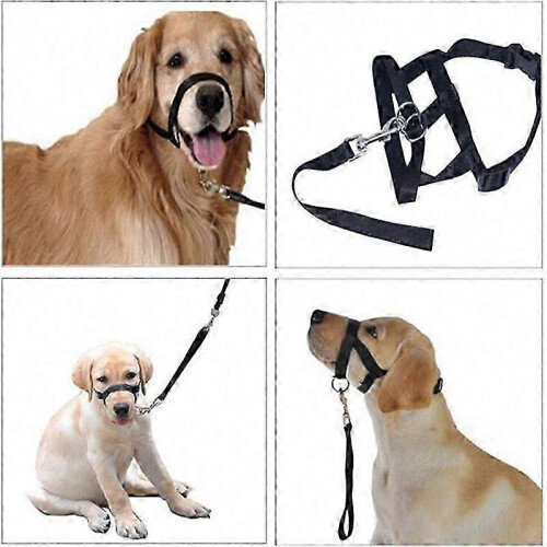 (Blue, 2X) Pet Dog Muzzle Halti Style Head Collar, Adjustable Nylon Leash Strap for Dog Pulling Training 1