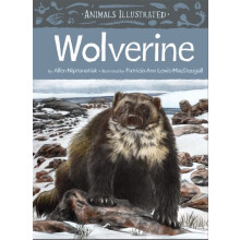 Animals Illustrated Wolverine by Allen Niptanatiak Hardcover Book