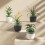 Selbstbewässernder Blumentopf Doppellagig 6