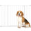 PawHut Barrera de Seguridad Blanco 107 x 76 cm 1