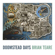 Doomstead Days by Brian Teare Paperback Book