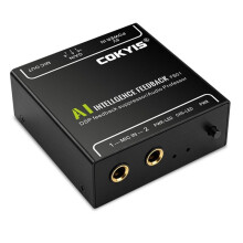 COKYIS Intelligent Anti-Howling Feedback Suppressor AI Feedback Suppressor DSP for KTV Conference Stage Live Streaming