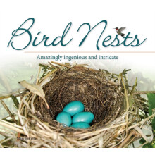 Bird Nests Amazingly Ingenious and Intricate by Stan Tekiela Paperback