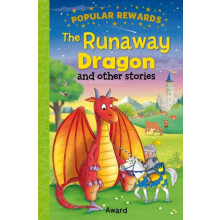Runaway Dragon Hardcover Book