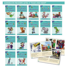 Phonic Books Dandelion Readers Vowel Spellings Level 4 Alternative vow