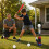 Kids Baseball Launcher Toy Set, Backyard Fun, No Pitch Needed, Beginner Batting Practice Toy 7