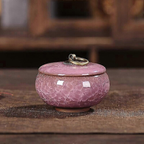 (deep blue, H) Sealed Ceramic Ash Urn for Small Pet Cremation Ashes Home Keepsake