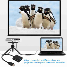 HDMI-Stecker auf VGA-Buchse Konverter
