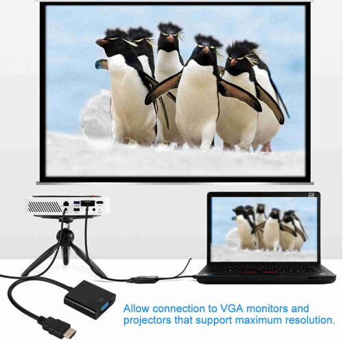 HDMI-Stecker auf VGA-Buchse Konverter