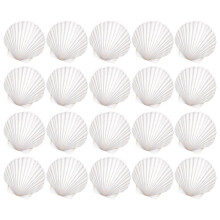 20Pcs Large Scallop Shells for Crafts, Natural White Scallop Shells for Baking, Painting, DIY Crafts, Decoupage, Beach