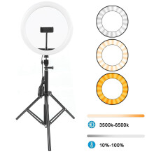 Dimmbares LED-Ringlicht 12 Zoll Fotografie