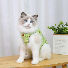 (Avocado, XL) Sterilisationskleidung für Katzen nach Operationen, atmungsaktiver Genesungsanzug für Haustiere nach Operationen mit Klettverschluss