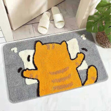 (Pillow Cat) Indoor Door Mat Anti Slip Front Door Rug 60x40cm Chenille Washable for Entrance Hall