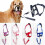 (Black, S) Pet Dog Muzzle Halti Style Head Collar Strap, Nylon Adjustable Dog Pulling Halter Training Leash 1
