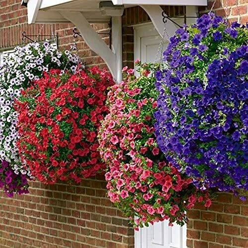 4 Pack-12" BLACK BASKETS W/CHAIN FOR PLANTS FLOWERS HANGING 2
