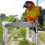 Bird  Shower Perch Small Round PVC for Secure Grip for Mirrors, Sliding Doors, Car 4
