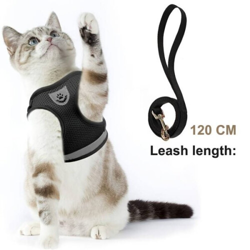 (M) Cat Harness with Leash, Black, Adjustable S M L Sizes for Small Cats 2