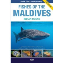 Fishes of the Maldives by Tim Godfrey Paperback Book