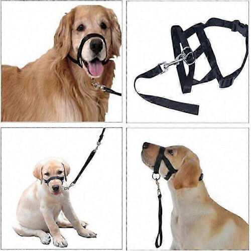 (Blue, S) Pet Dog Muzzle Halti Style Head Collar Strap, Nylon Adjustable Dog Pulling Halter Training Leash 2