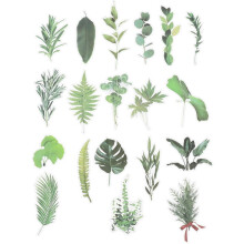Vintage Planta Adesivos 5 Conjuntos DIY Floral Scrapbook Decorativos Autoadesivos para Jornais Planejadores Crafting
