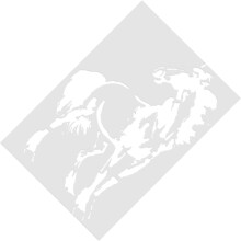 Stencils de pintura de padrão de cavalo de plástico branco de 5pcs para projetos de bricolaje e pintura de tecido