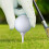 83mm  Spikes for Golfers Practicing Indoors and Outdoors 3