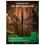 Plant Light, Plant Growth Light, Adjustable Height and Angle, Suitable for Indoor Plants 5
