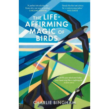 LifeAffirming Magic of Birds by Charlie Bingham Paperback Book