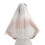 Doppellagiger Hochzeitsschleier, beige 16