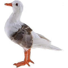 Tenlacum Lifelike Feathered Seagull Statue for Home, Garden, Beach, Seaside, Nautical Room Decor - Highly Realistic