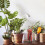 Deep Root Tree Waterer Kit - Deep Watering System for Tree Roots & Garden Irrigation 3