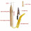 True Face Voltage Detector Pen 3-24V Circuit TestProbe Light 3