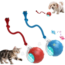 Lot de 2 jouets pour chiens et chats, balles interactives à déplacement rapide