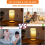 Full Spectrum Light Bulb, 6000K Natural Sunlight Bulbs, 9W Cool White 4