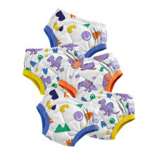 Bambino Mio (5 Pack) Potty Training Pants for Toddlers Reusable Cloth Training Underwear, 2-3 Years - Multipack - Baby and Toddler, Boys and Girls - I