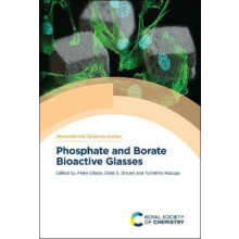 Phosphate and Borate Bioactive Glasses Hardcover Book