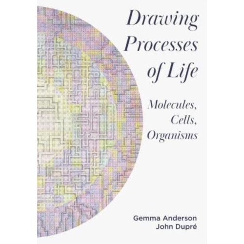 Drawing Processes of Life Molecules Cells Organisms by Gemma AndersonT