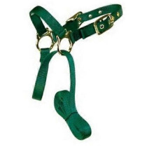 Hamilton Halter Livest Sheep With Lead Green, 1 Each